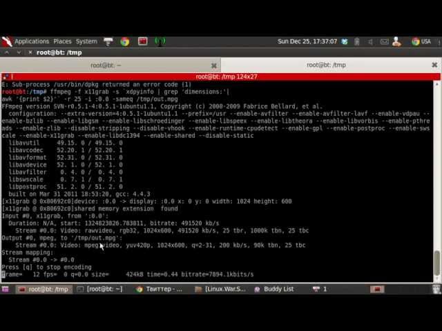 Format String Vuln