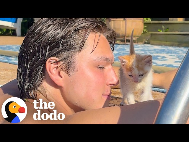 Couple Rents An Airbnb And Goes Home With A 1-Pound Kitten | The Dodo