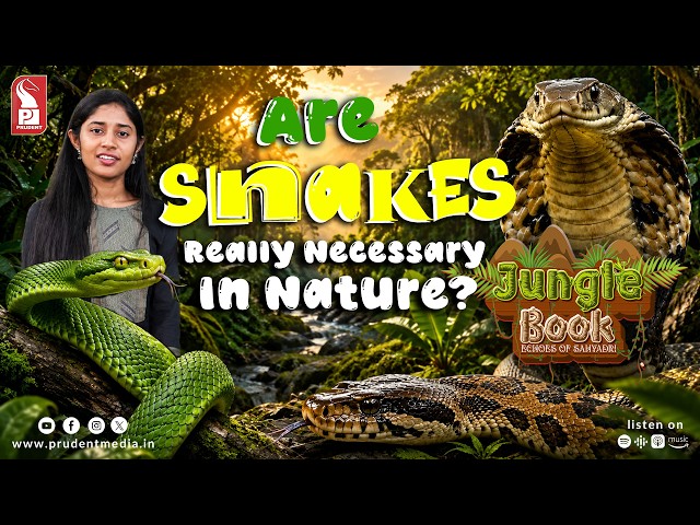 Why Should We Save Snakes? | Jungle Book | Epi 15 | Prudent | 180826
