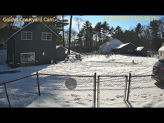 Goldy's Farm Courtyard Cam