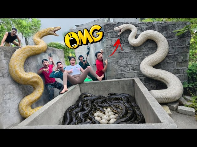 Brave Experts Hunt Giant Anaconda Nest with High-Tech Snake Detector to Rescue Ethnic Girl
