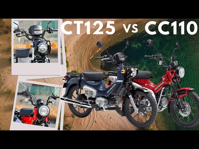 HONDA HUNTER CUB CT125 VS CROSS CUB 110 || SIMILAR BUT DIFFERENT!!
