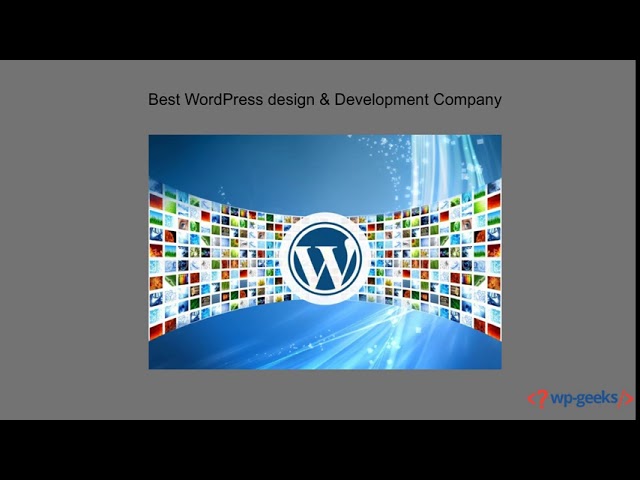 BEST WORDPRESS WEBSITE DEVELOPMENT SERVICES PROVIDER IN THE USA