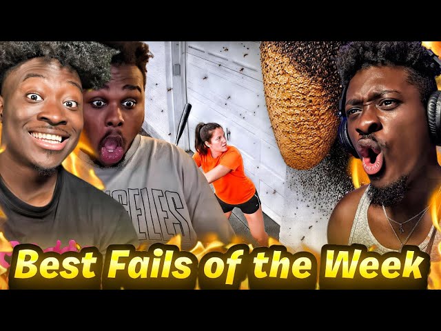 Best Fails of the Week 😂 Try Not to Laugh REACTION