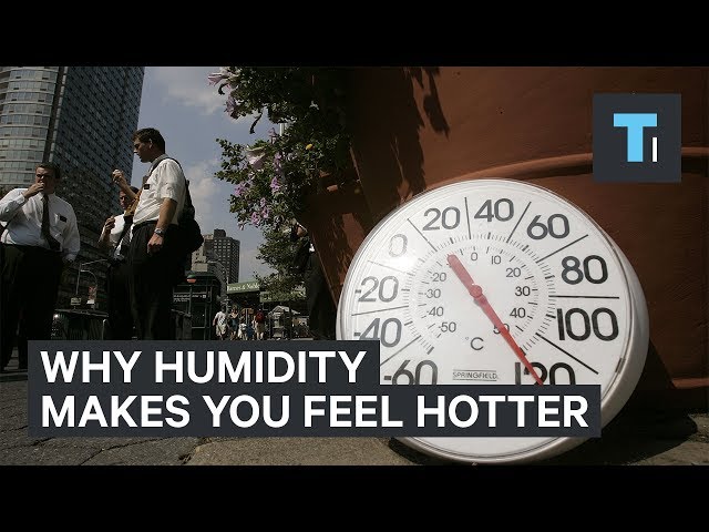 Why Humidity Makes You Feel Hotter