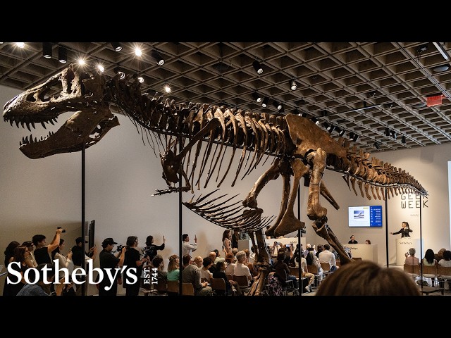 Gus the T. Rex Crushes World Record for Dinosaur at Auction Hitting | Sotheby's