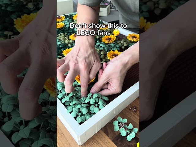 Building Fun: Don't show this to LEGO fans