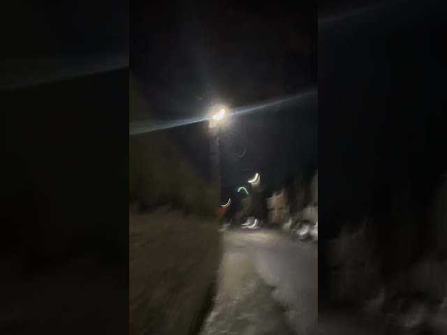 Day 99 - Captured the moment as the trees branches and street light were in perfect formation 🌀✨