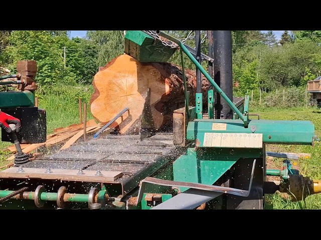 Satisfying Woodworking ASMR - 5 Minutes of Pure Sawmill Action (No Talking)