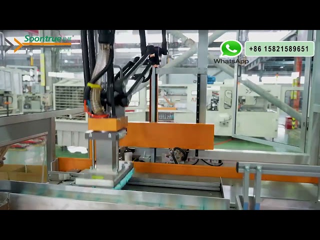 Automatic Carton Case Packing Machine