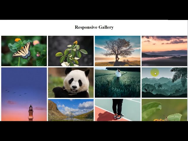 Responsive Image Gallery with HTML & CSS Only ||  CSS Flexbox