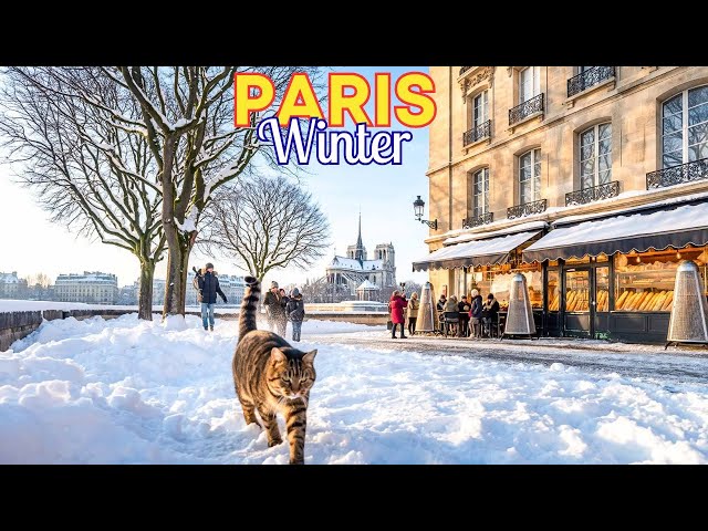 Snow in January 2026 – Paris Snow Winter Walk ❄️| 4K Paris Walk