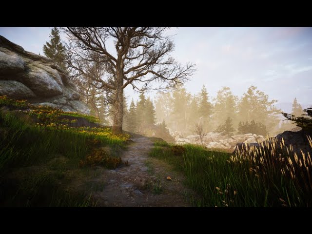 Indie Game (Unity) - Dev Log