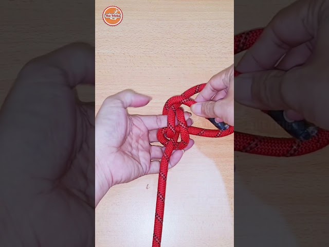 Rope Knot tutorial 💡 Easy method for beginners