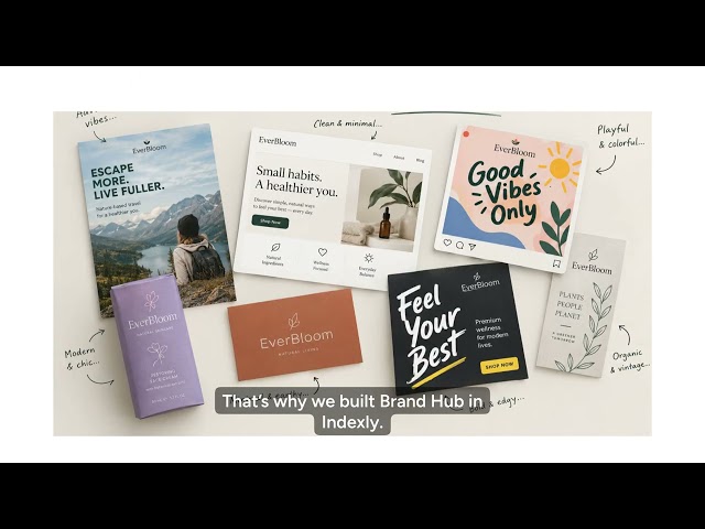 How to set up Brand Hub using Indexly?