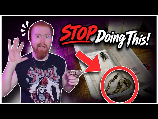 Popular Reptile Advice I Completely Disagree With!