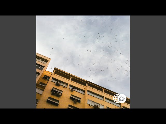 migration