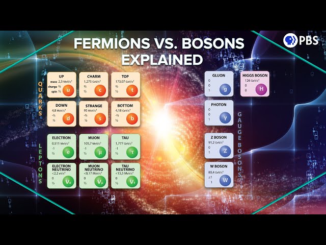 Fermions Vs. Bosons Explained with Statistical Mechanics!