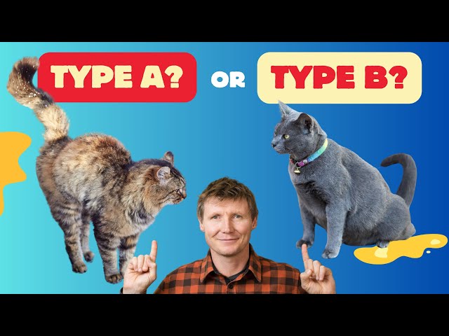 CAT PEEING Outside Their Tray? Discover the 2 Types of Urination & How to Fix Them