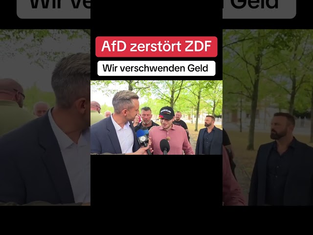 AfD destroys ZDF ‼️ #politics #afd #cdu #news #bundestag #spd #breaking