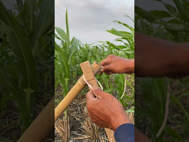 You can learn this #reelsusa #satisfying #tipsandtricks #tipsntricks #hacks