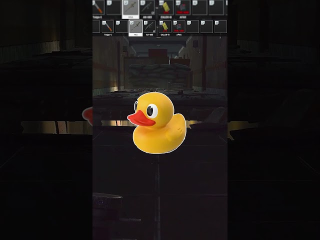 Can You Survive a Fight Against Me in Escape from Tarkov?