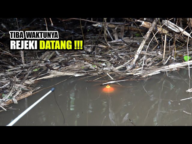 Wrong guess!!! I thought a small fish ate my fishing bait #SG-252
