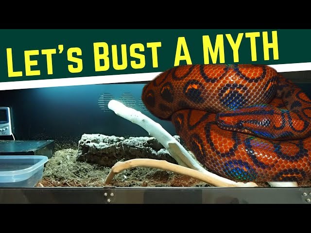 PVC Snake Cage | HOW TO SETUP