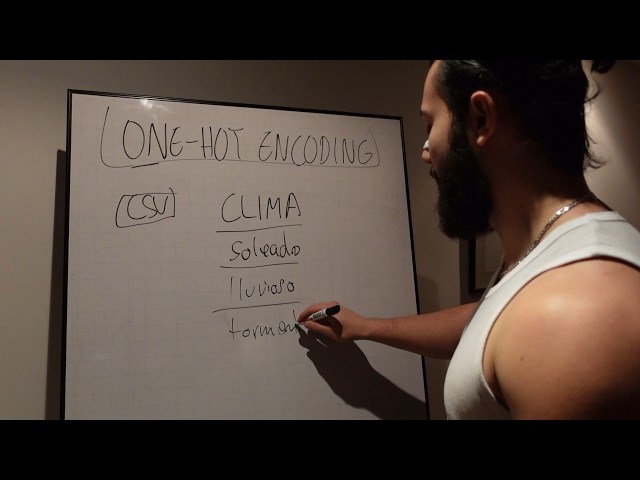 What is One-Hot Encoding?