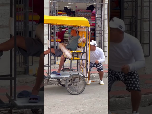 La culebra  pequeña 🤣 #bromas