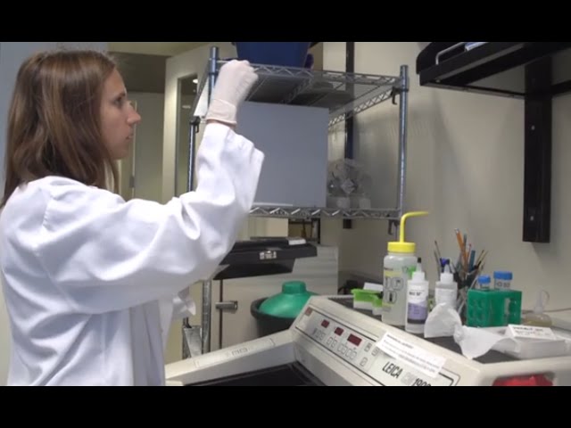 Medical Science – The Place To Be In The 21st Century