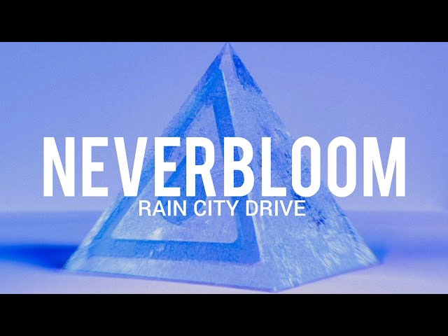 Rain City Drive - Neverbloom // Sub Español