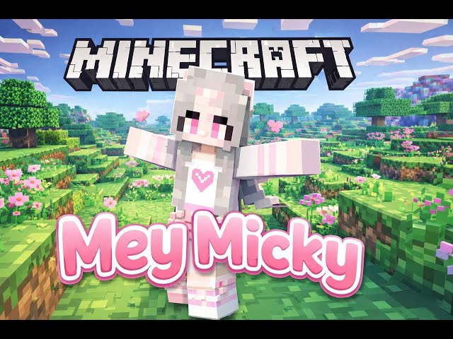 🔴Live Mazer smp map A