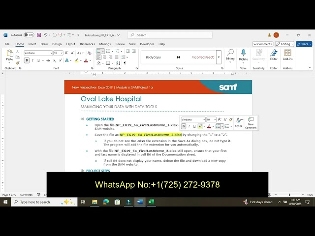 New Perspectives Excel 2019 | Module 6: SAM Project 1a Oval Lake Hospital