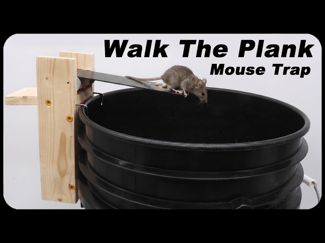Classic Walk-The-Plank Mouse Trap Tested: 4 Locations = HUGE Catch!