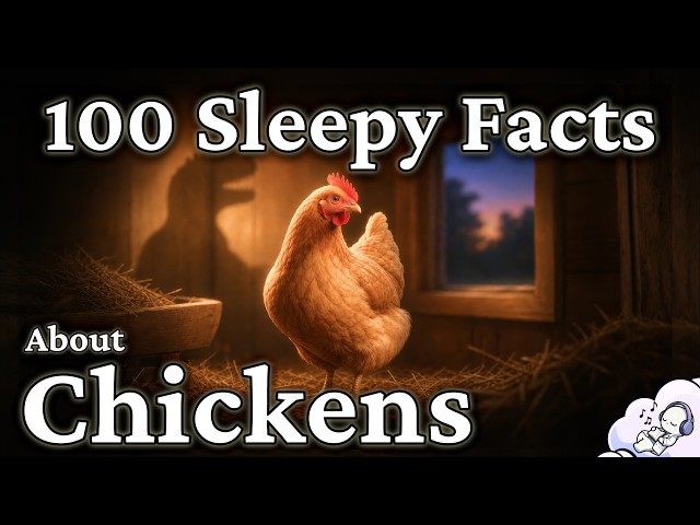 Chickens: The Quiet Science of Earth’s Most Familiar Dinosaur