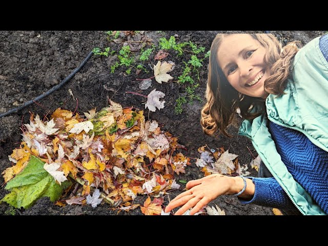 How to Get Rid of Yard Waste for Free! #soil  #gardening #compost