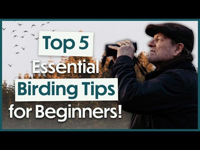Ornithologists & Birders Share Their Birdwatching Advice! | Get Birding Podcast with Sean Bean