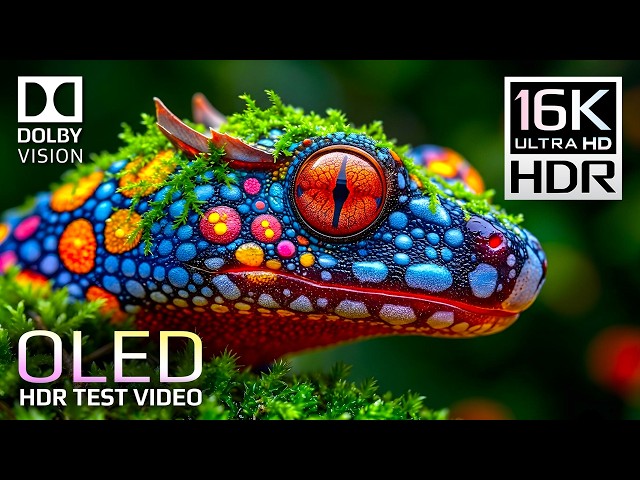 Impossible Quality OLED HDR Test | Dolby Vision 16K Video Ultra HD 240fps (8K 4K Video TV)