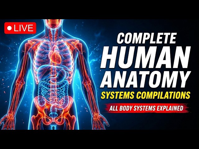 🔴Vital Codes Live: Complete Human Anatomy Explained Like Never Before!