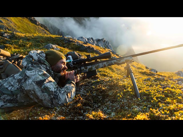 Hunting VELVET BUCKS in the High Country of ALASKA!