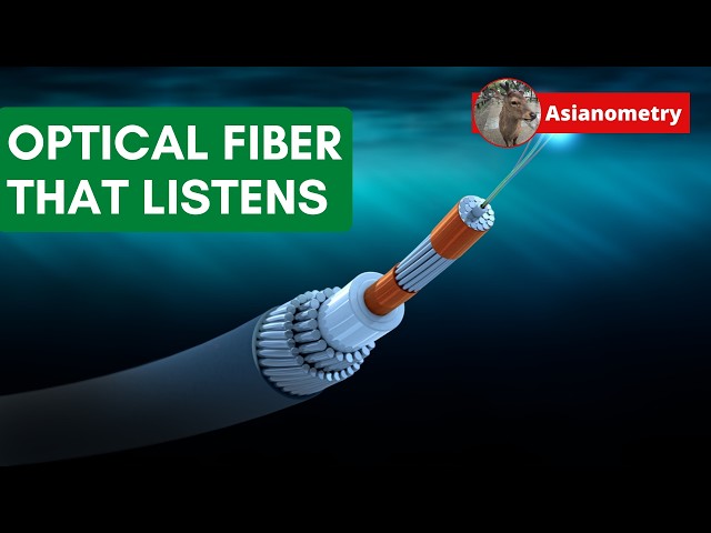 The Dark Fiber Listening Network