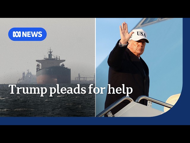 Trump pleads for help to secure Strait of Hormuz from Iran | ABC NEWS