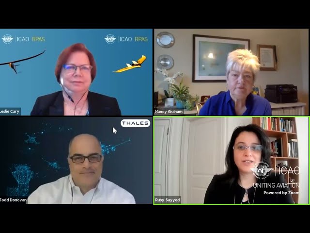 Interviews with experts on flying in a plane with no pilot inside (flight rules,RPAS, UTM, drones).