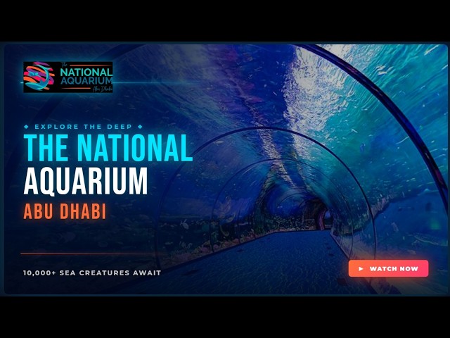 The National Aquarium Abu Dhabi 🌊 | World-Class Underwater Experience