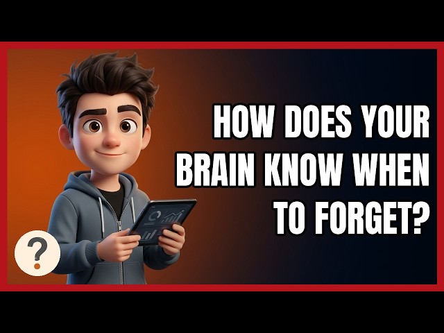 How Does Your Brain Know when to Forget?