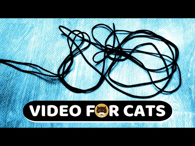 CAT GAMES - Paracord String. Video for Cats to Watch | CAT TV | 1 Hour.