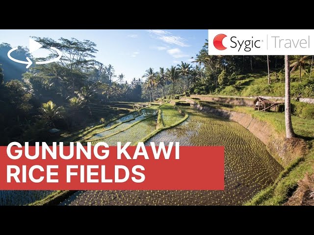 360 video: Gunung Kawi Rice Fields, Bali, Indonesia
