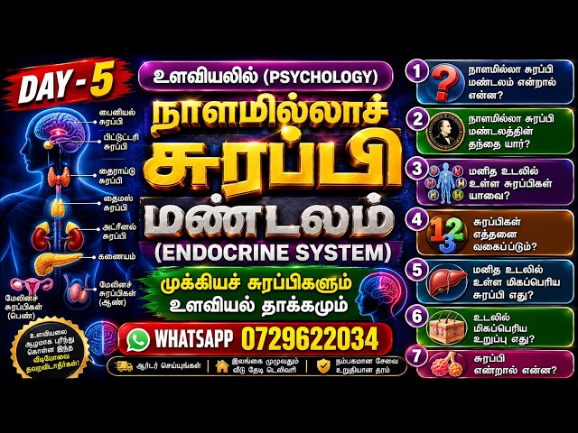 அபூர்வ ரகசியங்களை பற்றி உலகம் அறிய AI குரல் வழியாக அறியாத நாளமில்லா சுரப்பி மண்டலம் #psychology