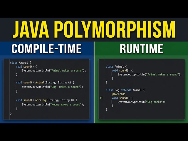 5.5 Polymorphism